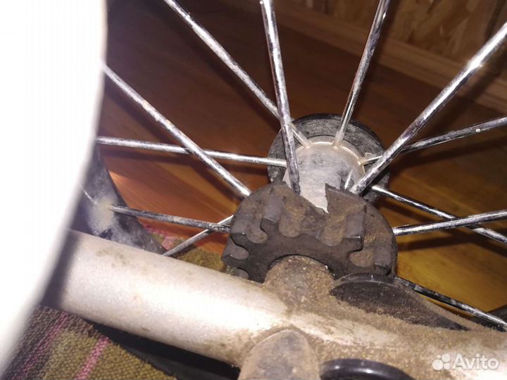 Коляска Roan marita 2 в 1