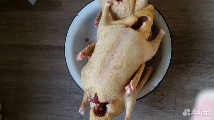 Мясо утки домашней