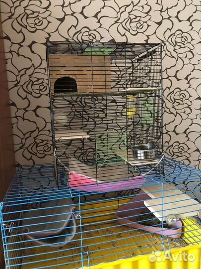 Клетка для шиншиллы