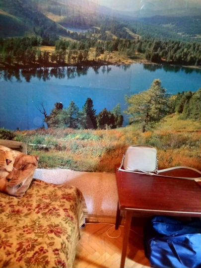 Комната 15 м² в 3-к., 2/5 эт.