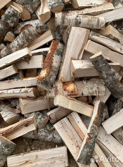 Дрова сырые для дачи