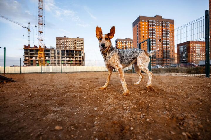 Квартира-студия, 20 м², 14/18 эт.