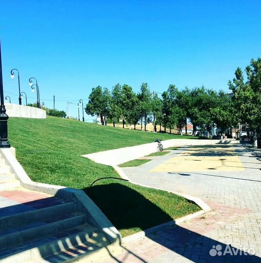 Рулонный газон, укладка. Посев