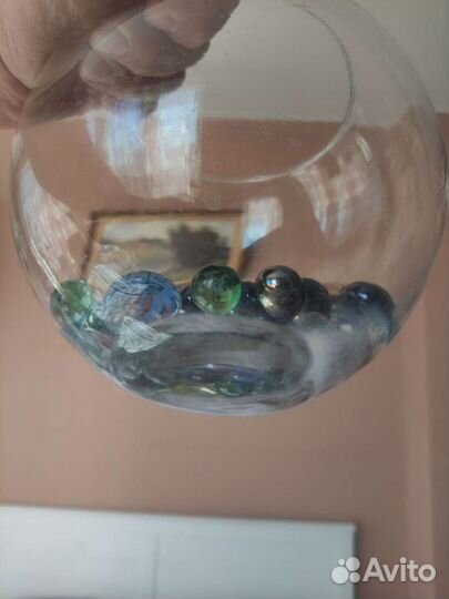 Аквариум круглый с цветными камешками