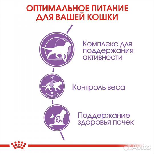 Корм Royal Canin для пожилых кастрированных кошек