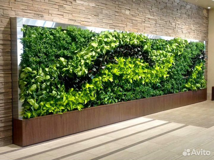 Зеленое оформление: фитокартина Арт: 215109