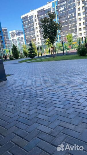 Помощник руководителя