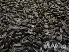 Семечки подсолнечника для птиц