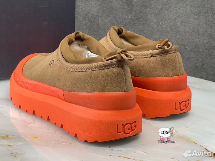 Кроссовки зимние женские Ugg Tasman Hybrid