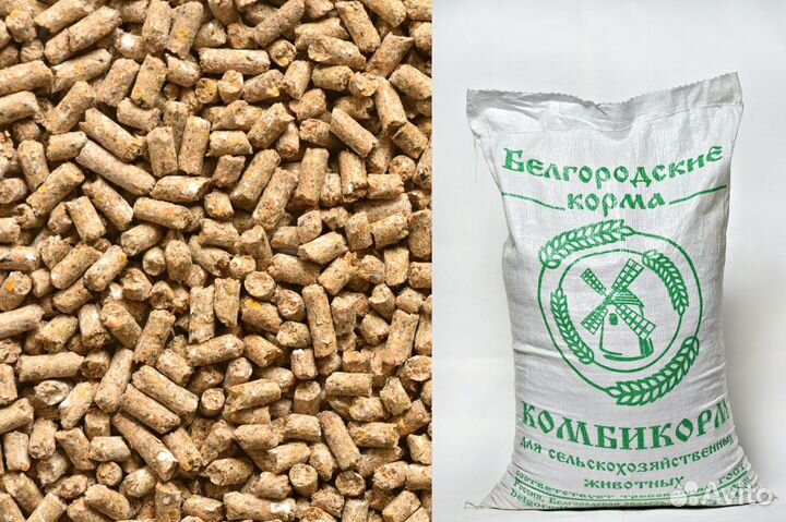 Комбикорма, зерно