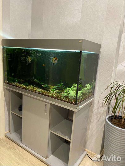 Аквариум жилой комплекс