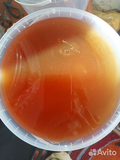 Мед алтайский