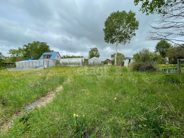 Участок 6 сот. (СНТ, ДНП)