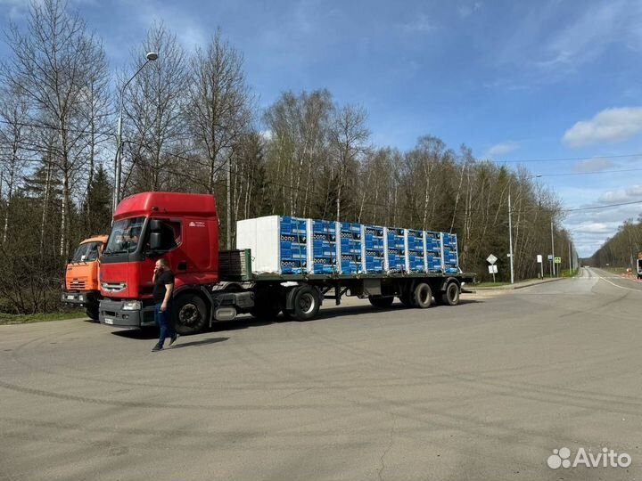 Блоки Бонолит 600