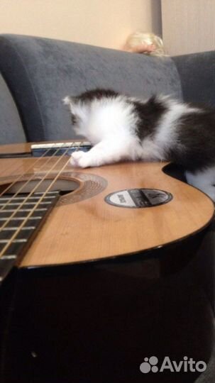 Хобучение на гитаре