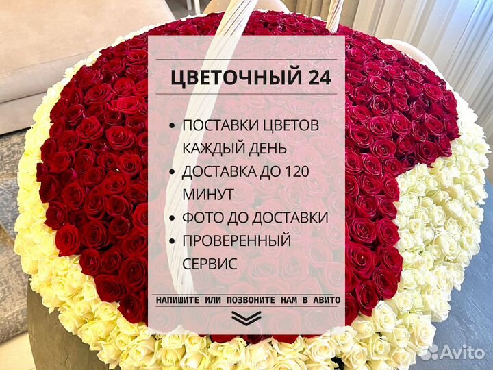 Гипсофилы цветы