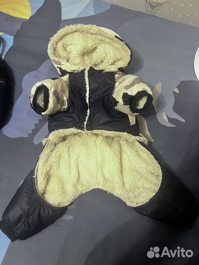 Зимняя курика для собак