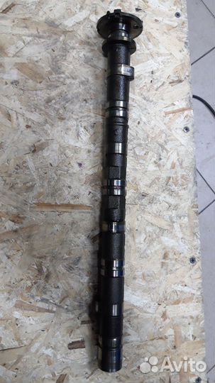 Выпускной распредвал honda k24z4