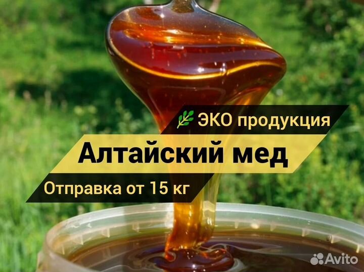 Мед натуральный (липовый, донниковый). Алтай