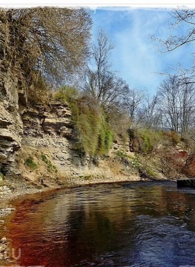 Участок 10 сот. (СНТ, ДНП)