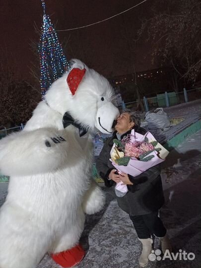 Белый мишка на поздравление