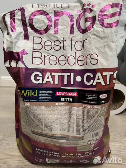 Корм для котят monge gatti cats