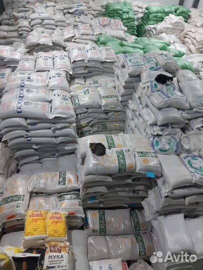 Зерно, овес, комбикорм, кормушки, поилки, опилки