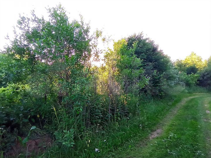 Участок 7,1 сот. (СНТ, ДНП)