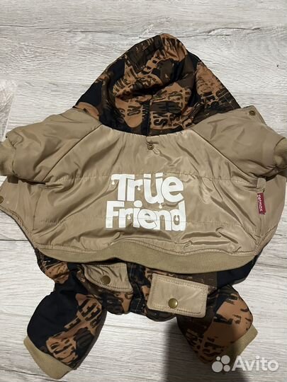 Одежда для собак