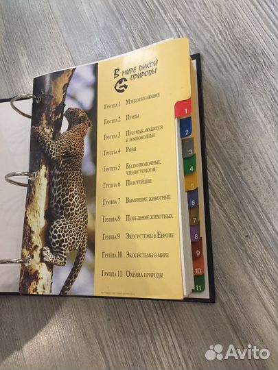 Коллекция журналов про животных