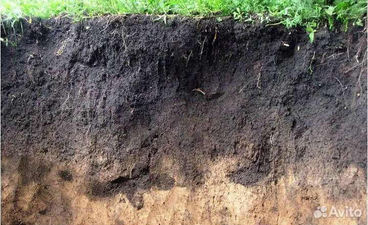 Навоз перегной коровяк