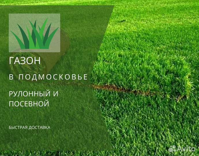 Рулонный газон