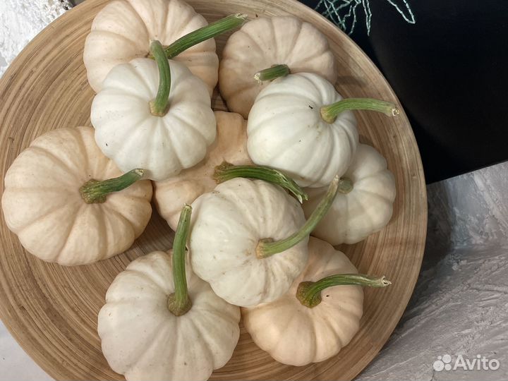 Тыква декоративная