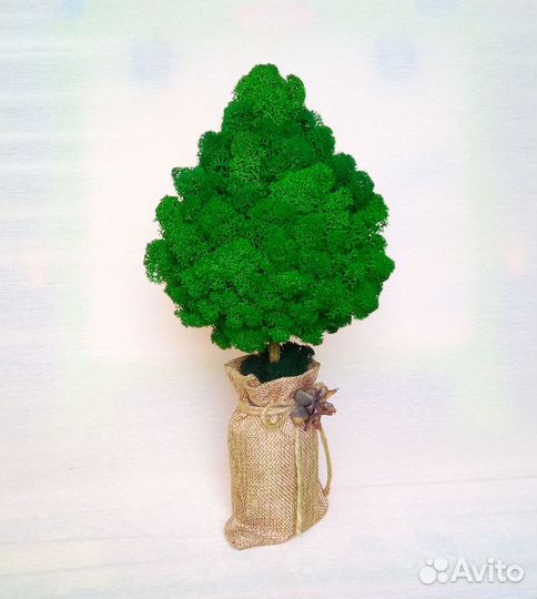 Дерево из стабилизированного мха топиарий