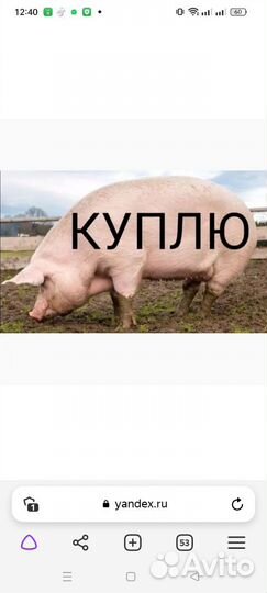 Свеноматок