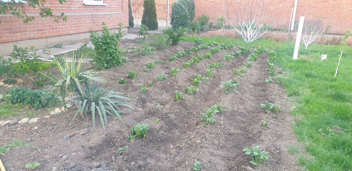 Дом 83 м² на участке 6 сот.