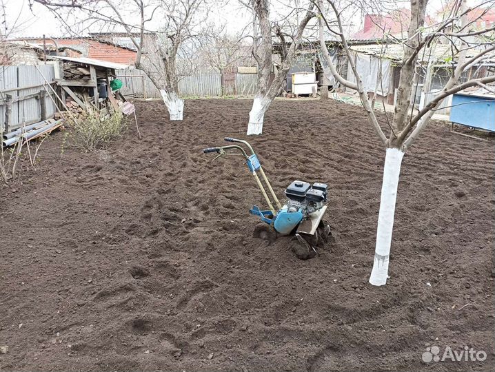 Вспашка участка в Марксе