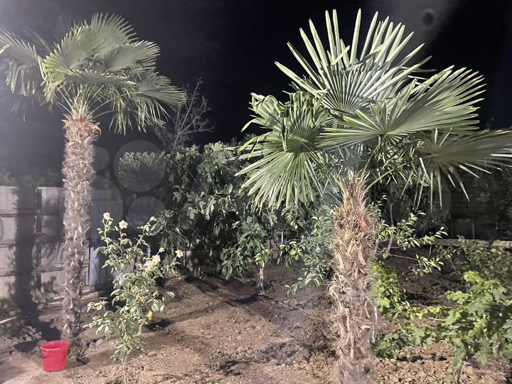 Дача 175 м² на участке 5 сот.