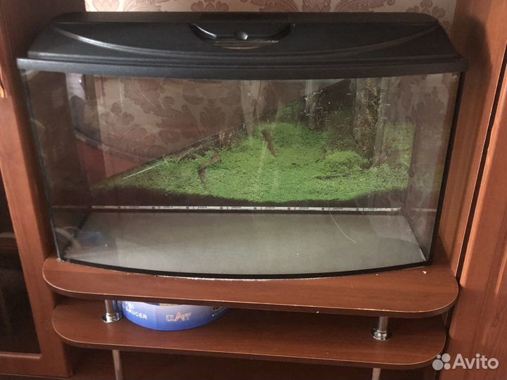Аквариум 150 литров