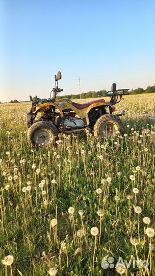 Квадроцикл