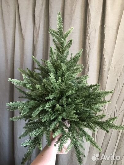 Новая литая ёлочка 60 см Царь Ёлка