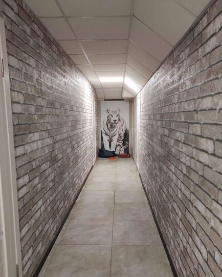 4-к. апартаменты, 300 м², 1/5 эт.