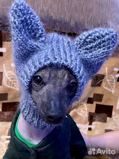 Мастер класс по вязанию шапки для мопса видео