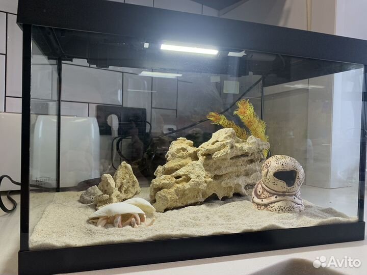 Аквариум