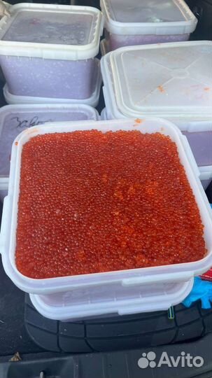 Икра красная Кета