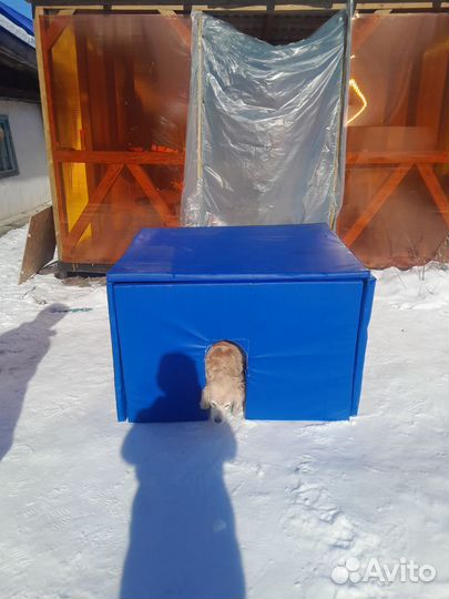 Собачья будка