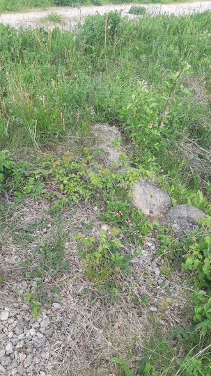 Участок 15 сот. (СНТ, ДНП)