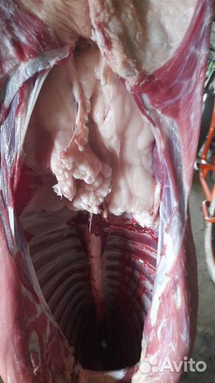 Мясо баранина свежая