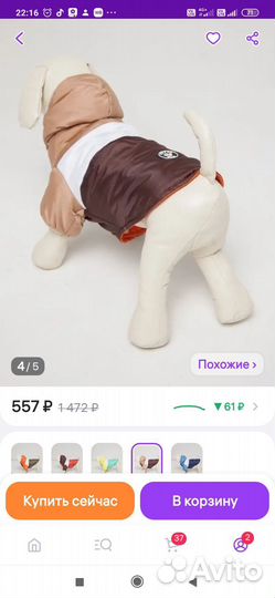 Куртка для собак мелких и средних пород