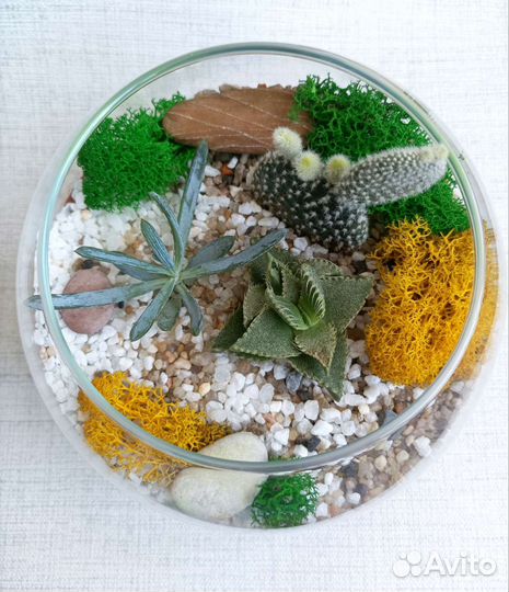 Флорариум с суккулентами, цветы